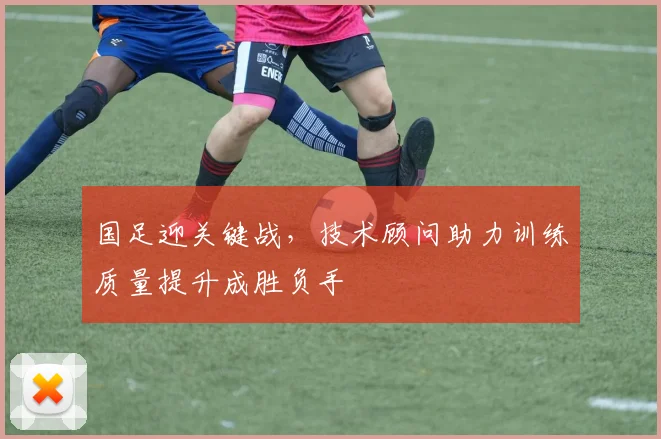 国足迎关键战，技术顾问助力训练质量提升成胜负手 - 彩客网