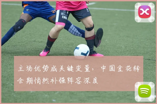 主场优势成关键变量,中国金花转会期悄然补强阵容深度
