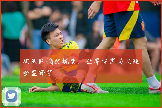 埃及队悄然蜕变，世界杯黑马之路渐显锋芒